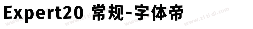 Expert20 常规字体转换